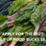 Apply for the 2021 Double Up Food Bucks Season