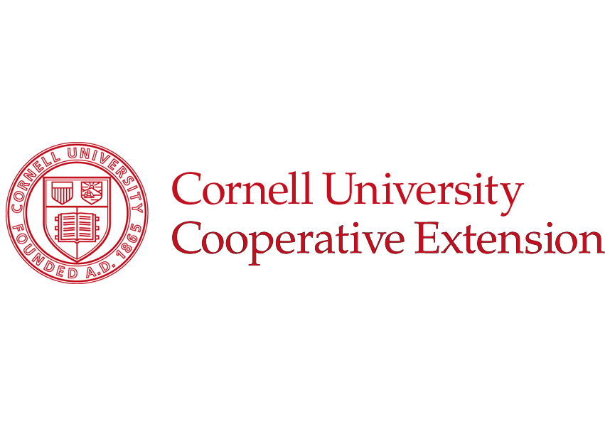 CCE.logo